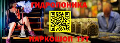 a pvp Краснознаменск