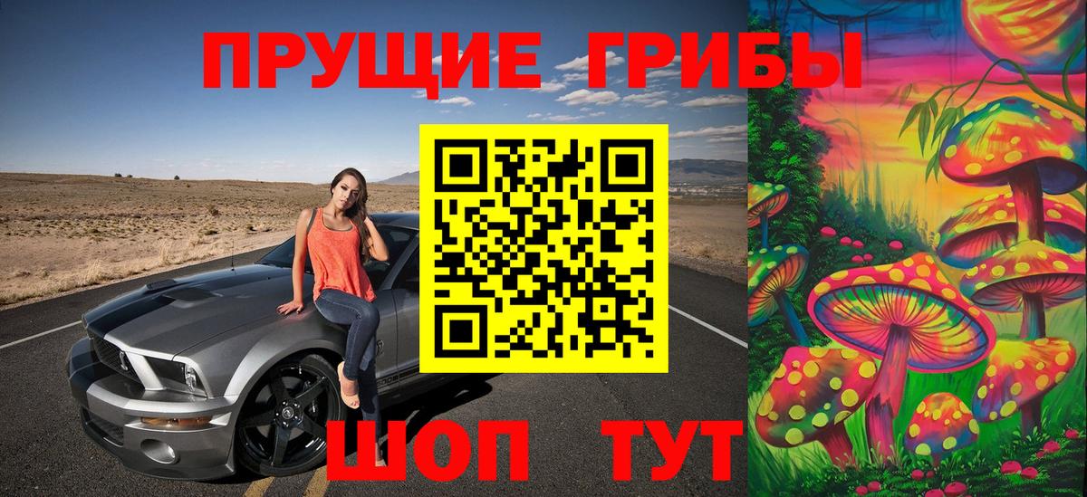 Галлюциногенные грибы прущие грибы  Вход с VPN  Кашира 