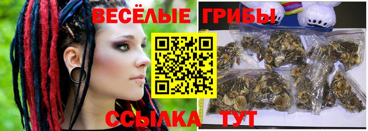 Псилоцибиновые грибы GOLDEN TEACHER Кашира